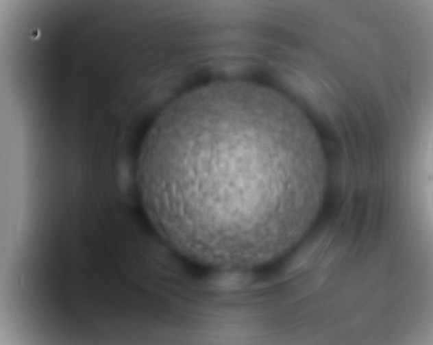 X0000092090135200709262130