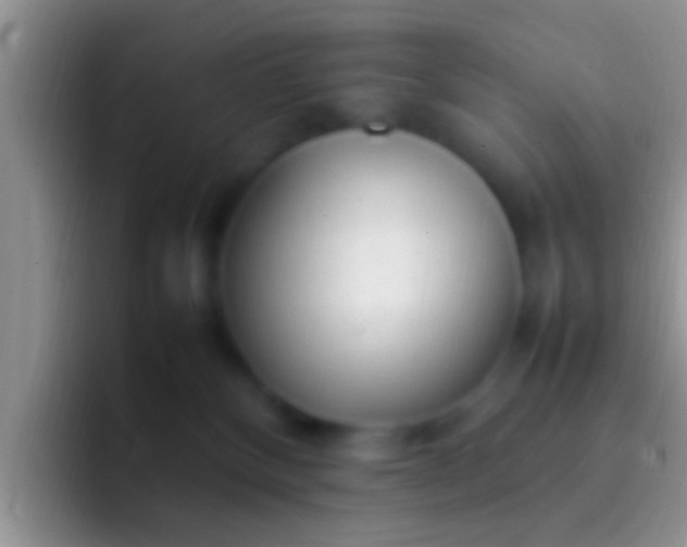 X0000092090136200709262130