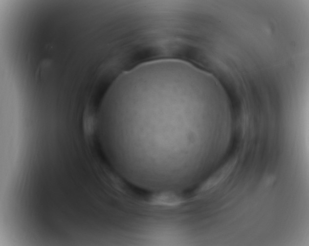 X0000092090137200709262130