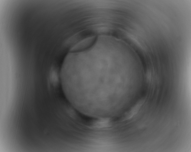 X0000092090138200709262130