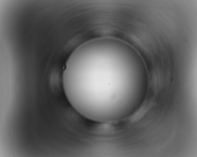 X0000092090140200709262130