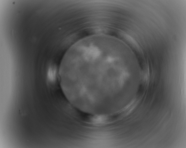 X0000092090142200709262130