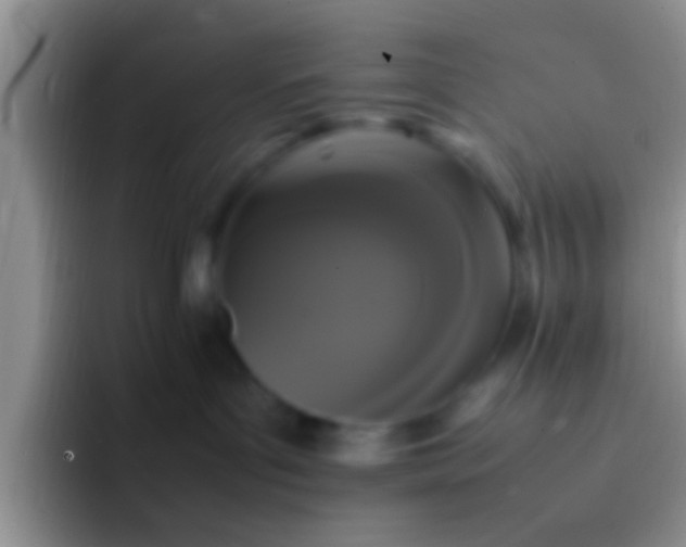 X0000092090143200709262130