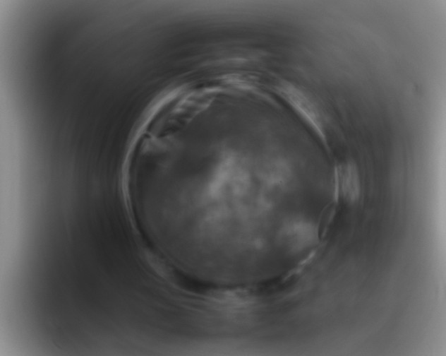 X0000092090147200709262129