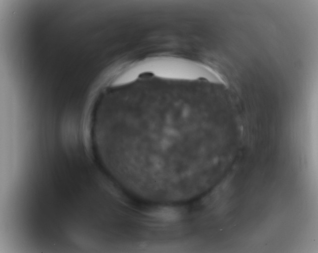 X0000092090149200709262129