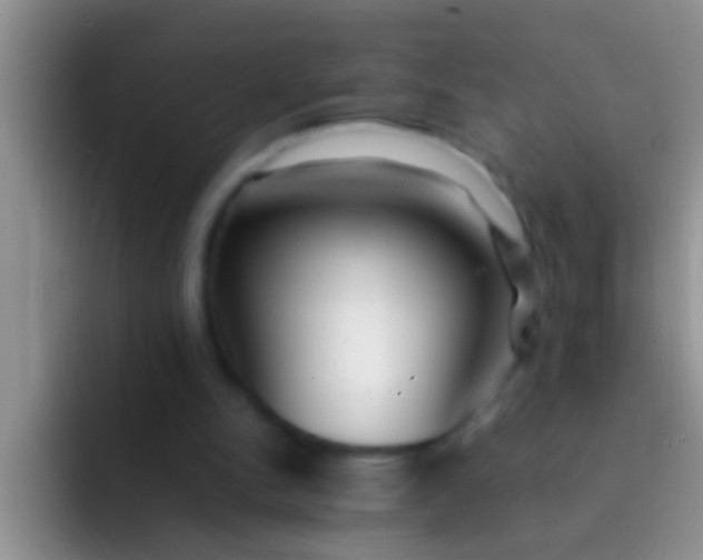 X0000092090150200709262129