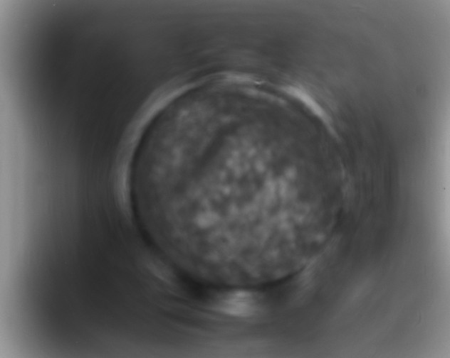 X0000092090151200709262129