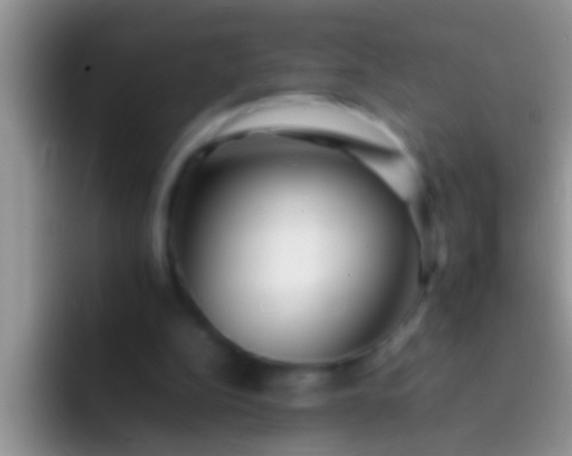 X0000092090152200709262129