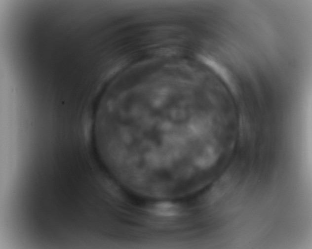X0000092090153200709262129
