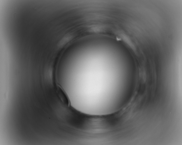 X0000092090154200709262129