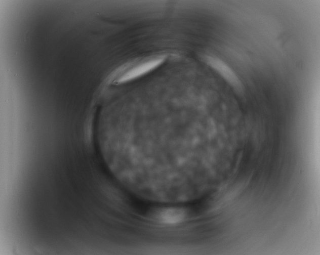 X0000092090155200709262129