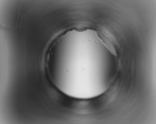 X0000092090156200709262129