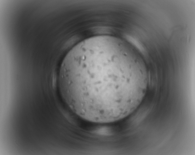 X0000092090157200709262129
