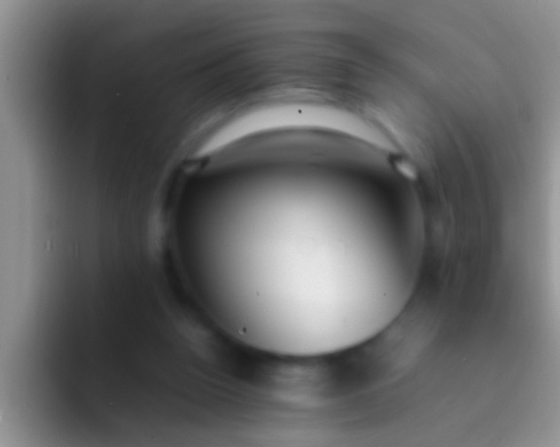 X0000092090160200709262129
