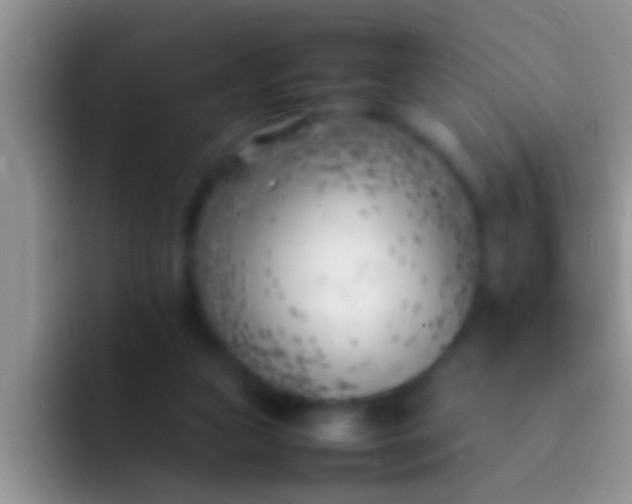 X0000092090161200709262129