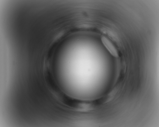 X0000092090168200709262130