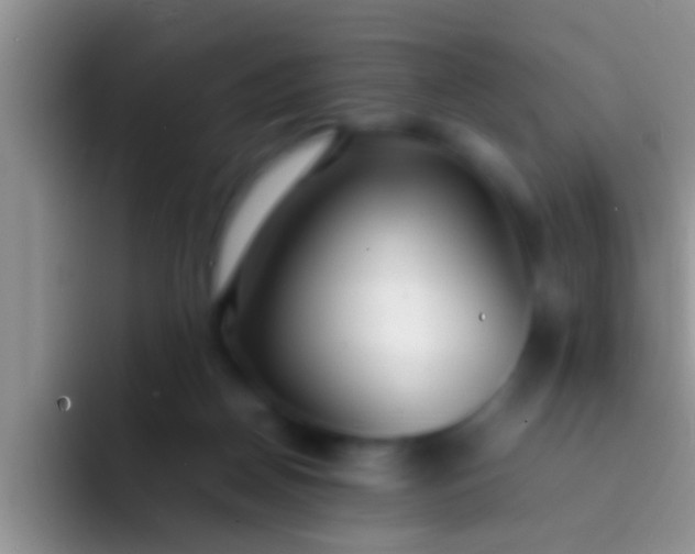 X0000092090170200709262130