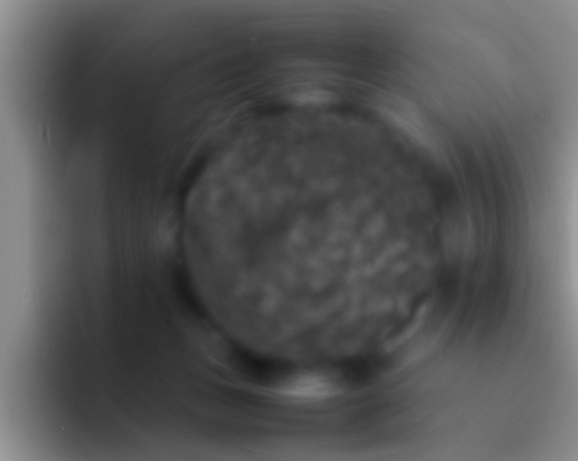 X0000092090175200709262130