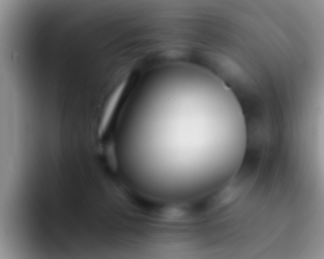 X0000092090176200709262130