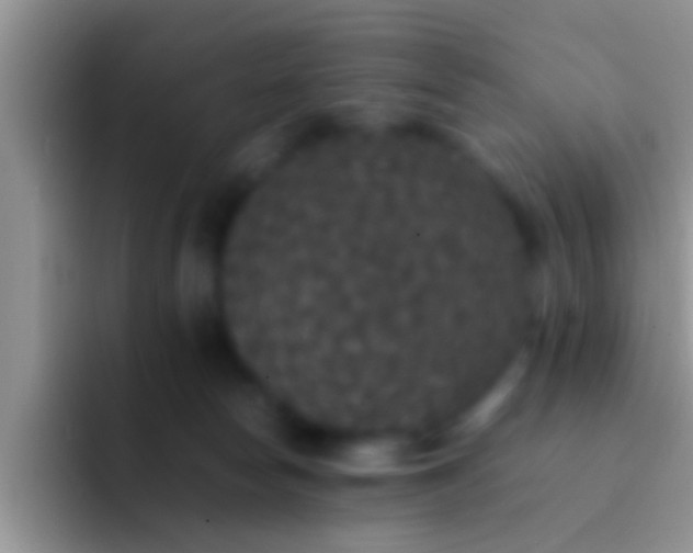 X0000092090178200709262130