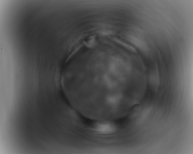 X0000092090181200709262130