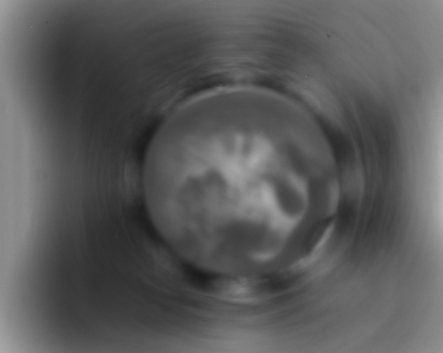 X0000092090182200709262130