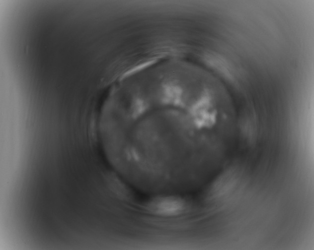 X0000092090185200709262130