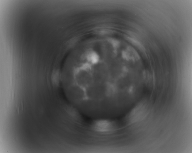 X0000092090189200709262130