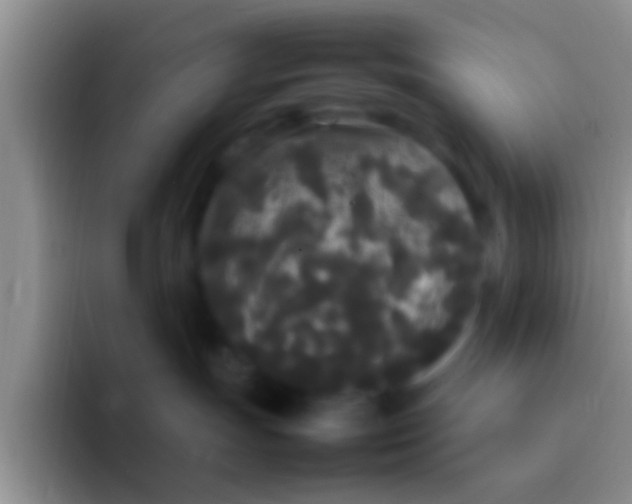 X0000092090191200709262130