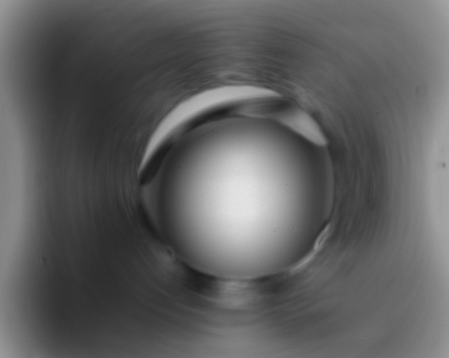 X0000092090192200709262130