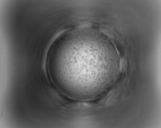 X0000092090195200709262129