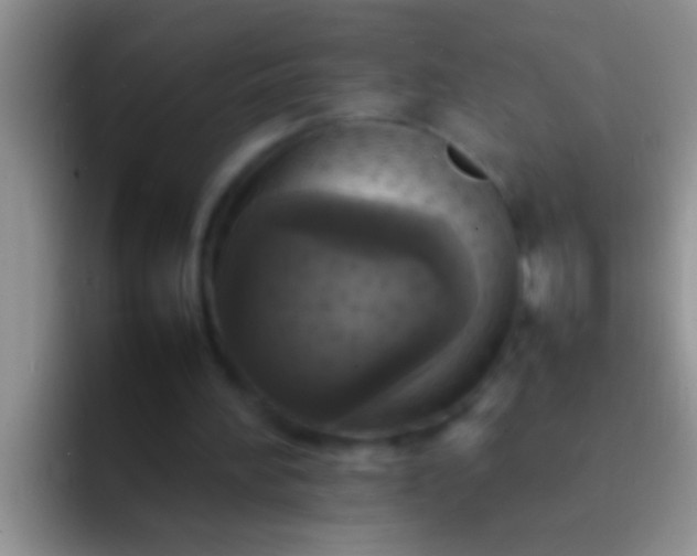 X0000092090196200709262129