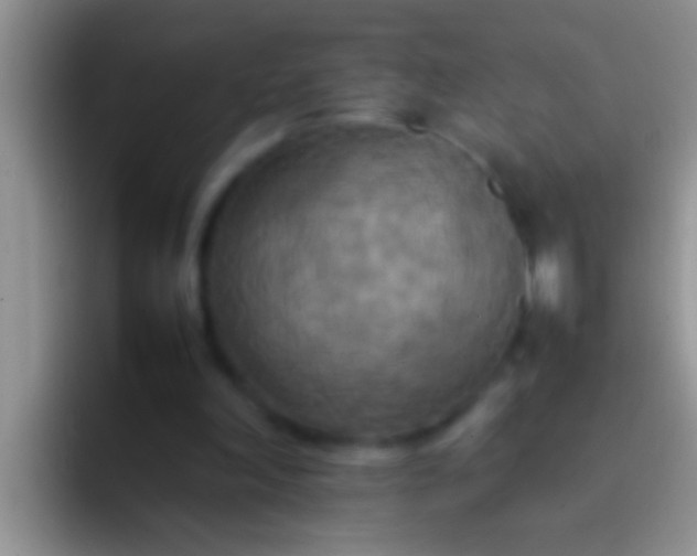 X0000092090198200709262129