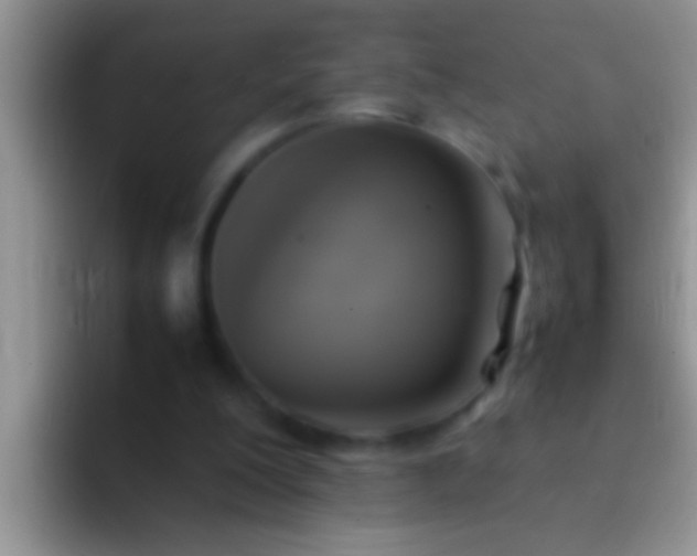 X0000092090200200709262129