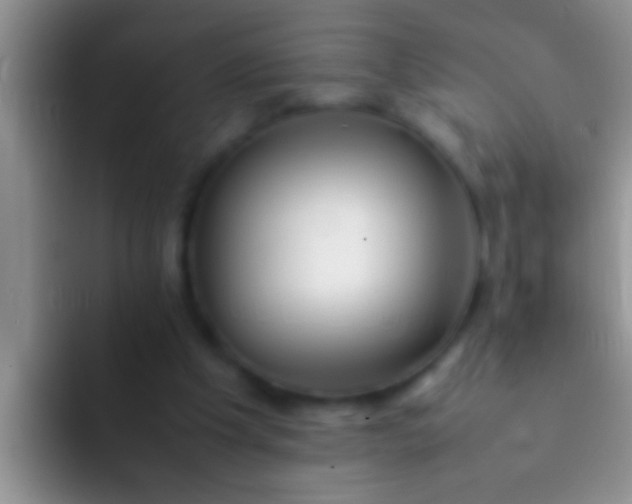 X0000092090201200709262129