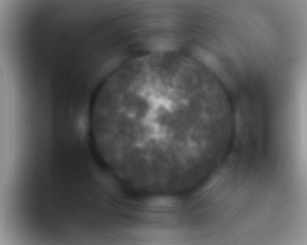 X0000092090202200709262129