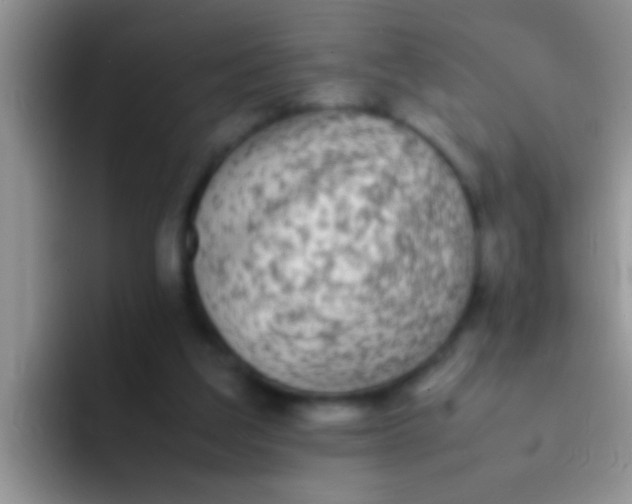 X0000092090203200709262129