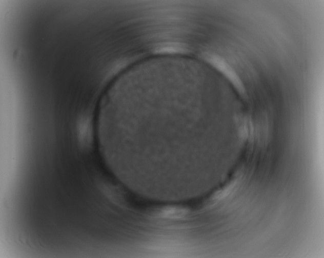 X0000092090204200709262129