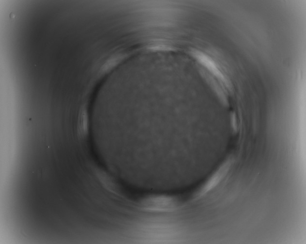 X0000092090205200709262129
