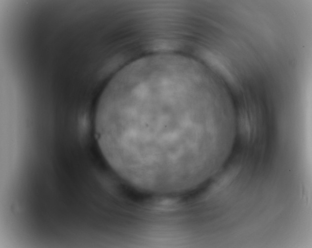 X0000092090208200709262129