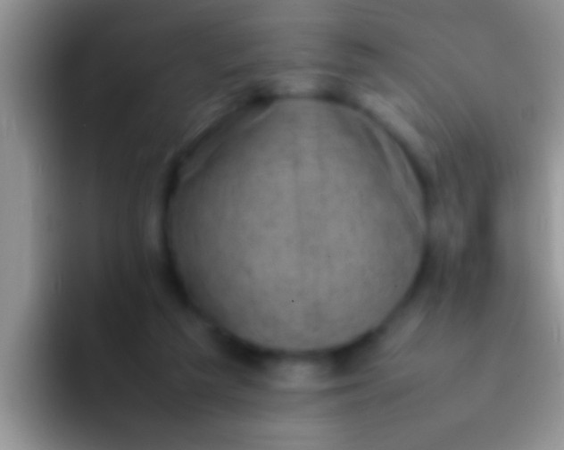 X0000092090209200709262129