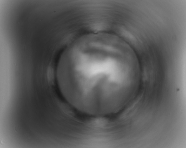 X0000092090210200709262129