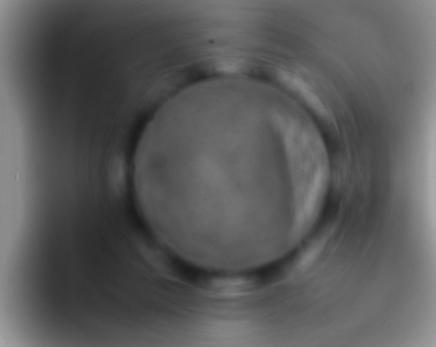 X0000092090213200709262129