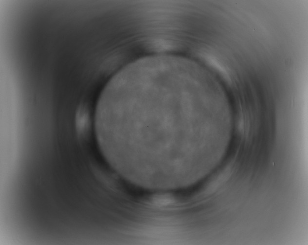 X0000092090214200709262129