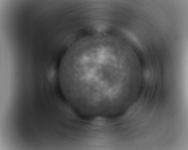 X0000092090222200709262129