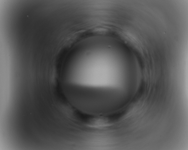 X0000092090223200709262129