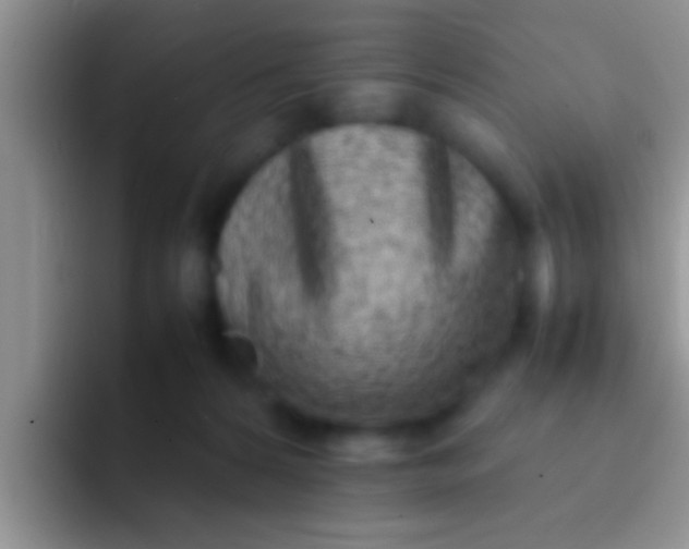 X0000092090224200709262129