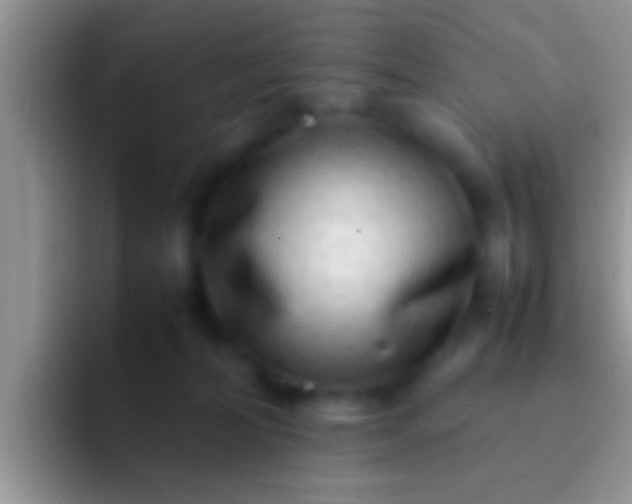 X0000092090228200709262129