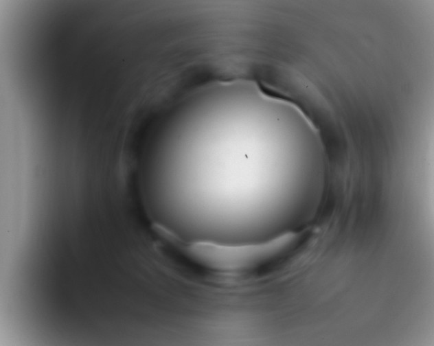 X0000092090229200709262129