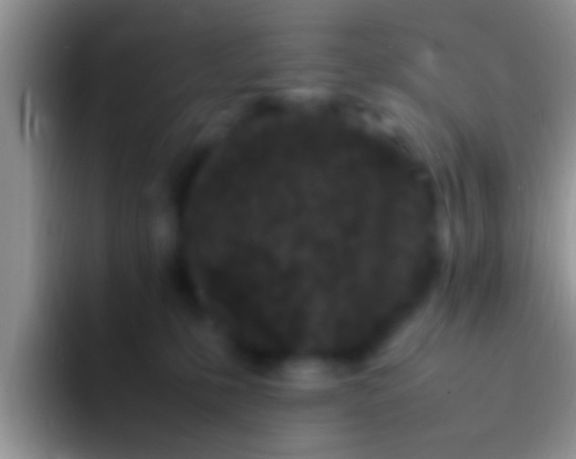 X0000092090231200709262129